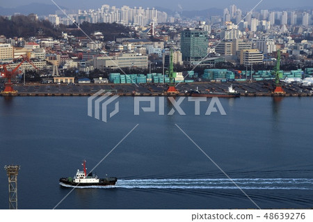 Day of harbor 48639276