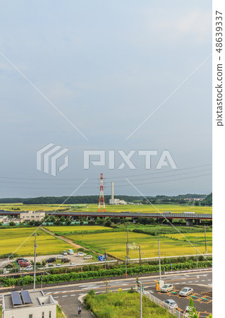 A landscape of summer's wells 48639337