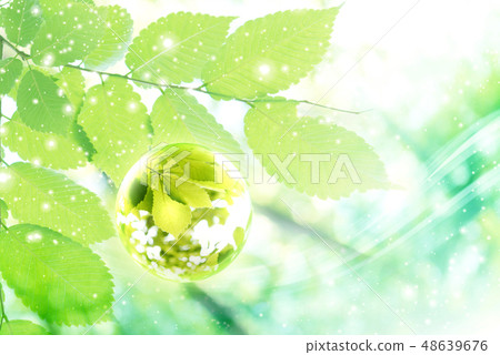 Fresh green Fresh green 48639676