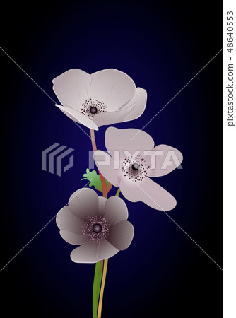 Vector leaves and colorful flowers vector illustration Vector leaves and colorful flowers vector illustration 48640553