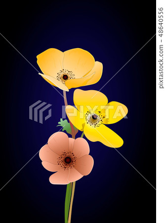 Vector leaves and colorful flowers vector illustration 48640556