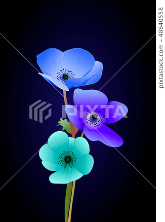 Vector leaves and colorful flowers vector illustration Vector leaves and colorful flowers vector illustration 48640558