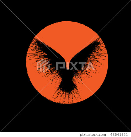 Orange sun raven 48641531