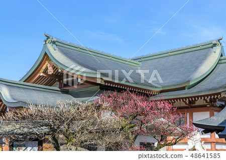 Umezakuru Kitano Tianmangu 48641585