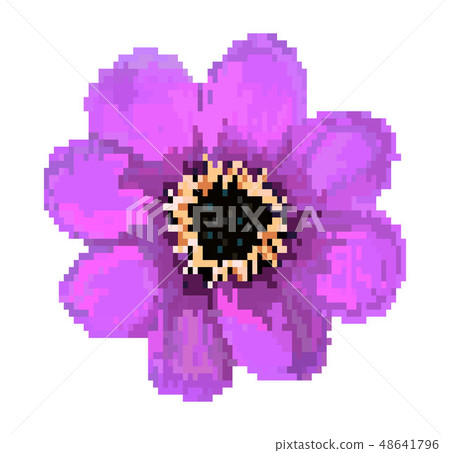 pixel field flower vector illustration isolated on white background pixel field flower vector illustration isolated on white background 48641796