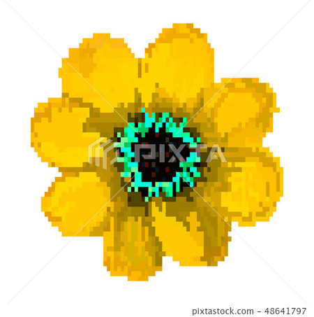 pixel field flower vector illustration isolated on white background pixel field flower vector illustration isolated on white background 48641797