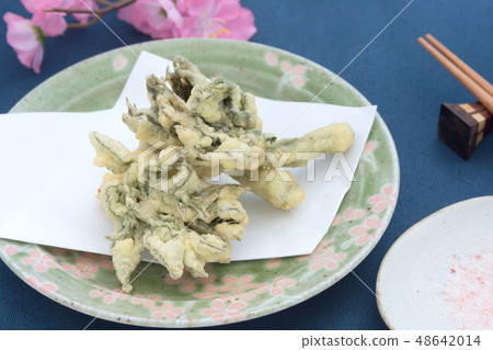 Upland noodle tempura 48642014