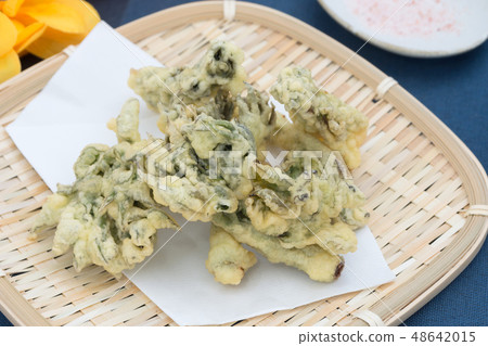 Upland noodle tempura 48642015