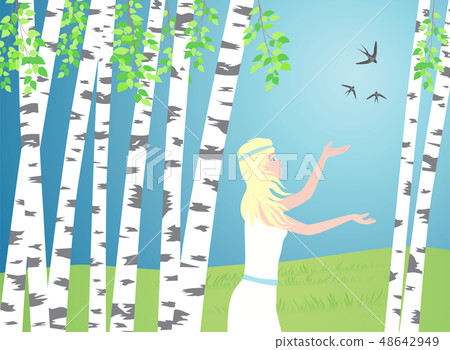 Girl walks between the birches. Birds fly over. 48642949