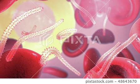 Ebola virus, causing viral hemorrhagic fever  48643670