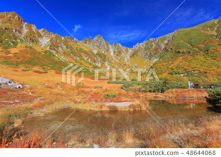 [Nagano Prefecture] Komagatake Senjojiki Curl at the peak of autumn colors 48644068
