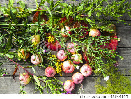 Beautiful photo with apples, red leaves, flowers  48644105