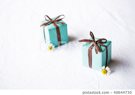 Father's Day gift 48644730