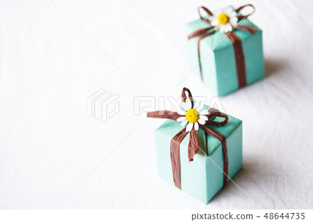 Father's Day gift 48644735