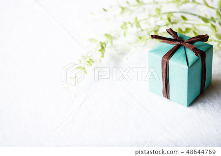 Father's Day gift 48644769