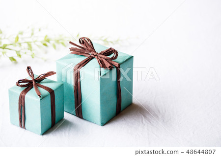 Father's Day gift 48644807