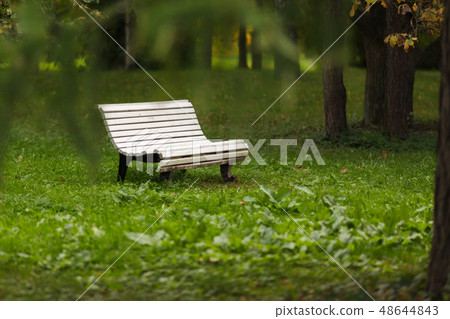 Bench in the park on a background of green grass. 48644843