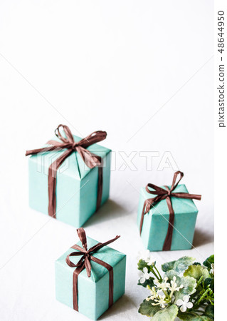 Father's Day gift 48644950