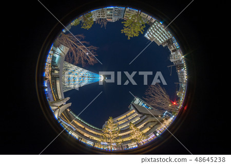 Night sky looking up 48645238