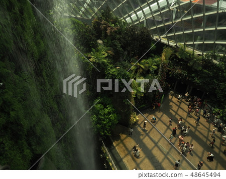 濱海灣花園森林 濱海灣花園森林 48645494