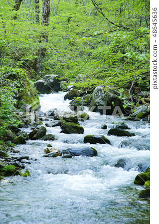 Yokosawa, Miyako-shi, Iwate Prefecture 48645636