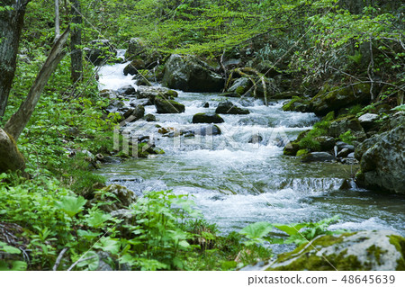 Yokosawa, Miyako-shi, Iwate Prefecture Yokosawa, Miyako-shi, Iwate Prefecture 48645639