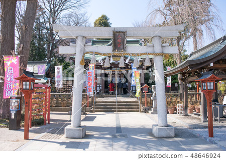 Kawagoe City Kawagoe Hachimangu 48646924