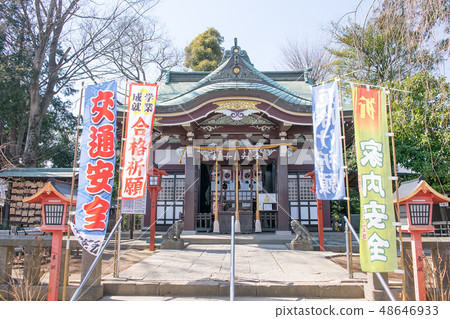 Kawagoe Hachimangu, which has a postcard tree (right side of the hall) 48646933