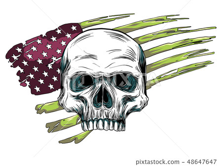 skull design with colored american flag illustration skull design with colored american flag illustration 48647647