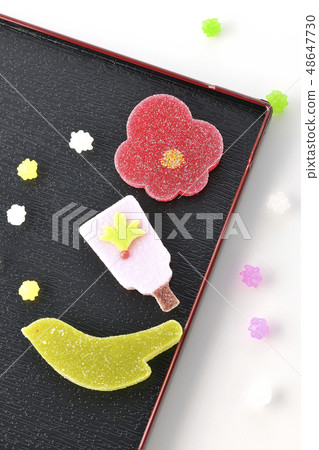 Japanese-style confectionary on New Year 48647730
