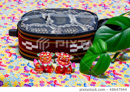 Okinawa Sanshin, Monstera and Shisa Okinawa Sanshin, Monstera and Shisa 48647944