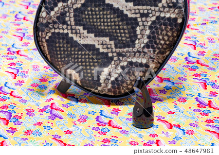 Okinawa Sanshin 48647981