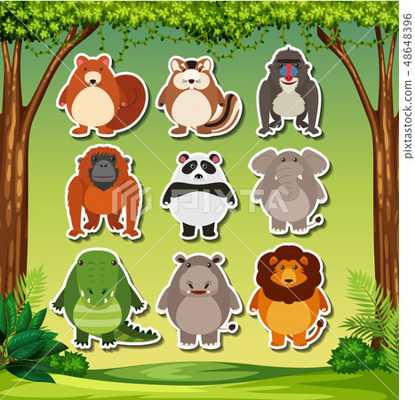Animal sticker on nature background Animal sticker on nature background 48648396