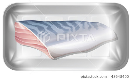 Isolated fish fillet on tray Isolated fish fillet on tray 48648400
