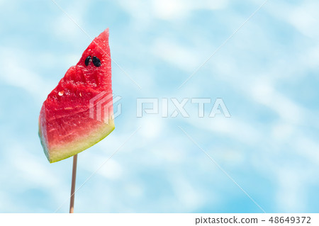 treopical tasty fruit slices treopical tasty fruit slices 48649372