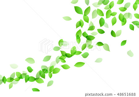 Leaves of dancing trees background material 48651688