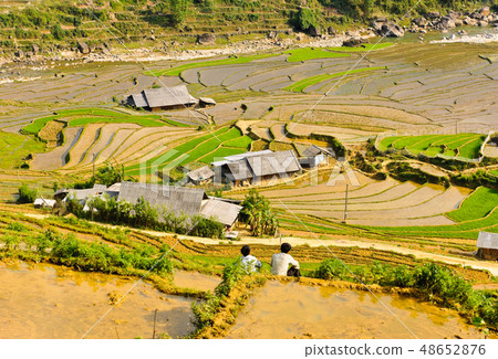 Sapa rice terraced fields, Vietnam 48652876