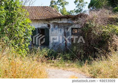 Nature surrounding a decayed abandoned house. Nature surrounding a decayed abandoned house. 48653009