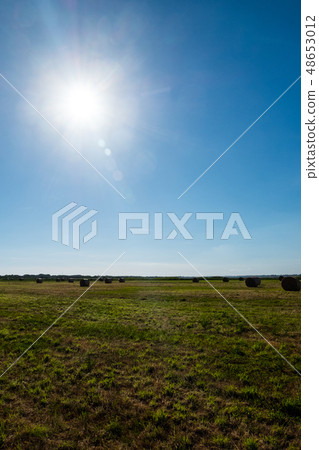 Hay bale. Agriculture field with bright sun in the 48653012