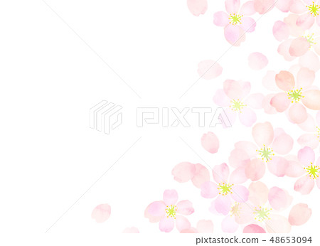 櫻花水彩風格紋理 櫻花水彩風格紋理 48653094