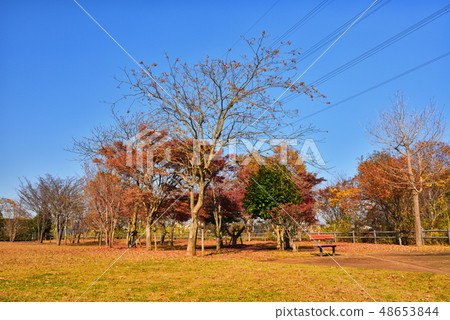 Chiba Prefecture Kashiwa City Todai Nippon Sports College Kashiwa High School Park next to Kenshin dormitory 48653844