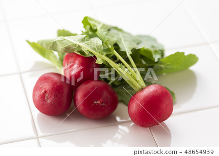 Radish Radish 48654939