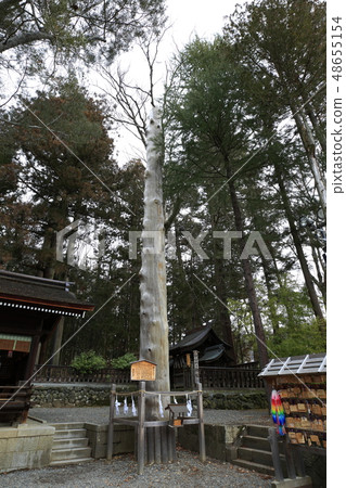 Suwa Taisha Shimosha Akimiya God pillar 48655154