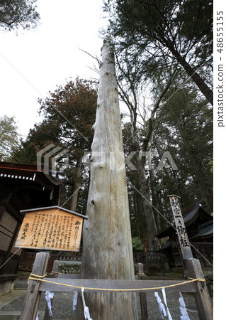 Suwa Taisha Shimosha Akimiya God pillar Suwa Taisha Shimosha Akimiya God pillar 48655155