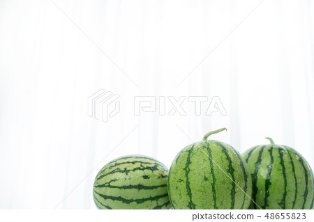watermelon   48655823