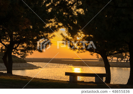 兵庫縣高砂海濱公園和牧島島公園的暮光之城（兵庫縣高砂市高砂鄉町武島島） 48655836