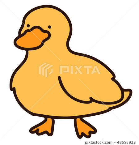 Simple and cute duck illustration with main line 48655922