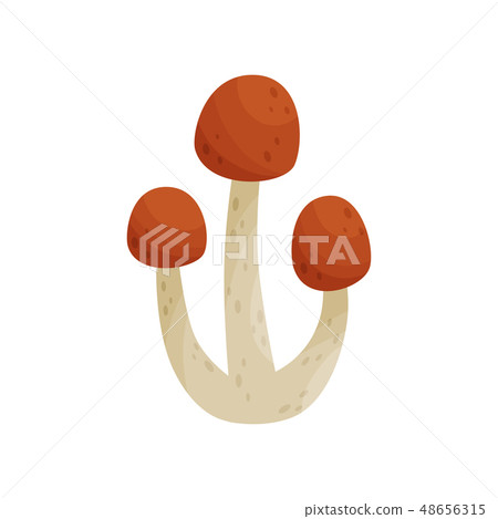 Flat vector icon of armillaria mellea or honey fungus. Edible forest mushrooms with brown caps and Flat vector icon of armillaria mellea or honey fungus. Edible forest mushrooms with brown caps and 48656315