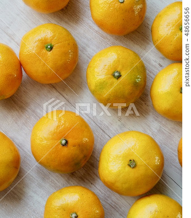 Korean Fruits Jeju Citrus 48656656