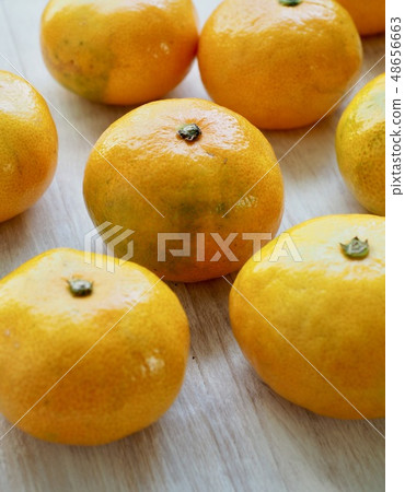 Korean Fruits Jeju Citrus Korean Fruits Jeju Citrus 48656663